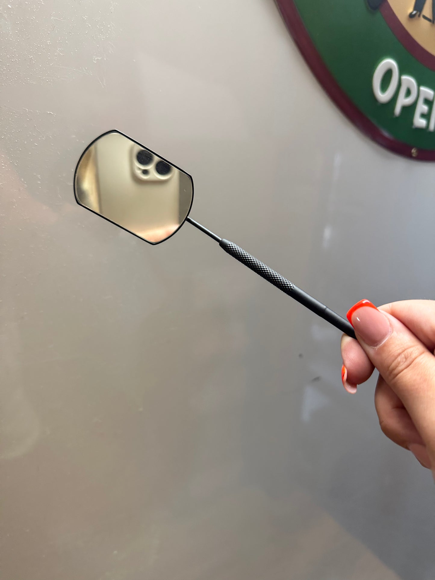 Lash mirror
